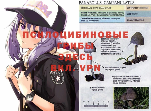 винт Богородицк