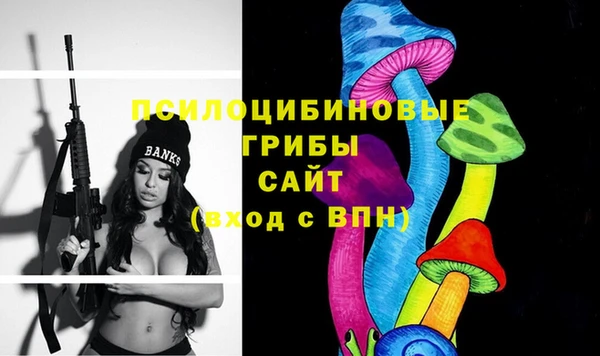 ешки Богородск