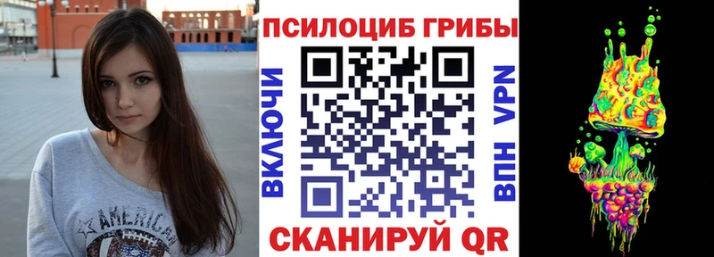 Галлюциногенные грибы Psilocybe Чебоксары