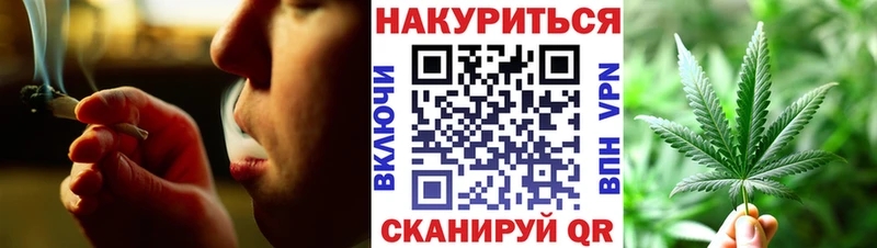 наркота  Чебоксары  hydra сайт  Шишки марихуана сатива 